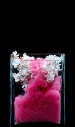 Similar image 12996178