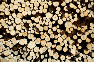 Similar image 12999937