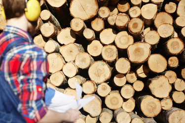 Similar image 12999994