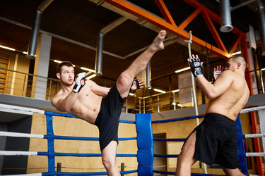 Similar image 13000063