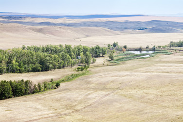 Similar image 12996776