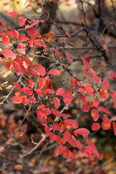 Similar image 12998424