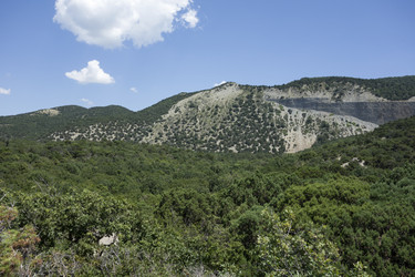 Similar image 12998426