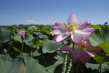 Similar image 12998428