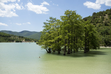 Similar image 12998539