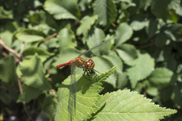 Similar image 12998461