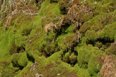 Similar image 12998734