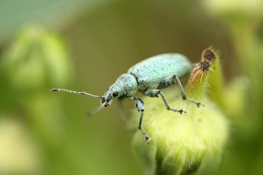 Similar image 12998463