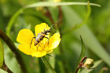 Similar image 12998541