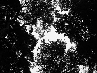 Similar image 13000931