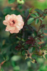 Similar image 12997771