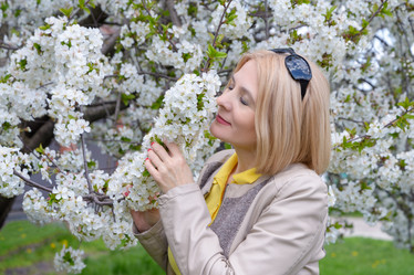 Similar image 12997912