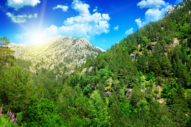 Similar image 13001183