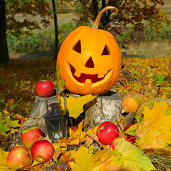 Similar image 13001195