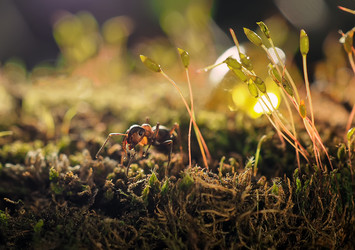 Similar image 12998544