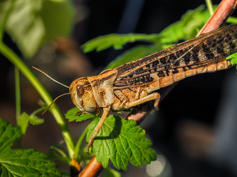 Similar image 12998550