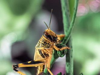 Similar image 12998473