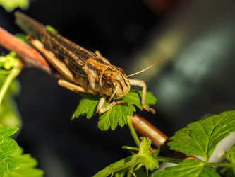 Similar image 12999041