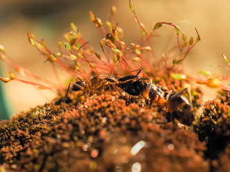 Similar image 12999127