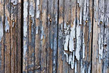 Similar image 12999441