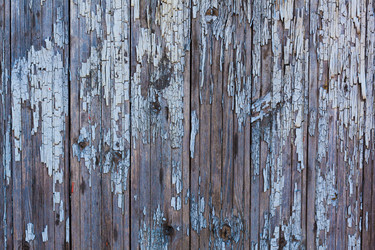 Similar image 12999445