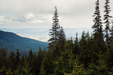 Similar image 12999287