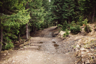 Similar image 12999413