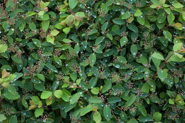 Similar image 12999414