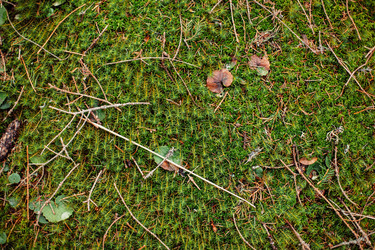 Similar image 12999419