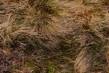 Similar image 12999267