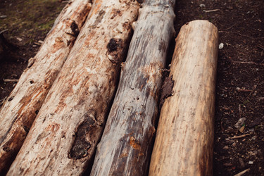 Similar image 12999422