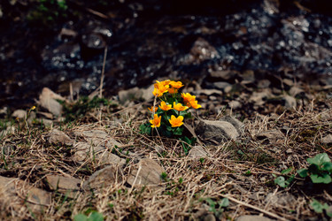 Similar image 12999268