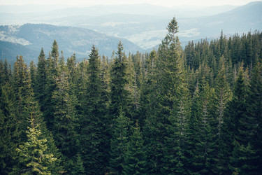 Similar image 12999269