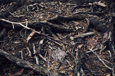 Similar image 12999274