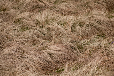 Similar image 12999432