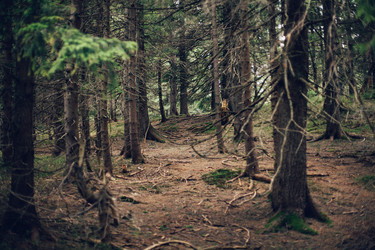 Similar image 12999517