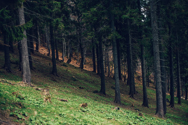 Similar image 12999330