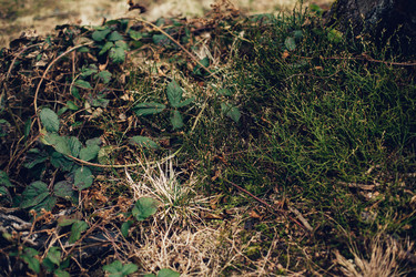 Similar image 12999446