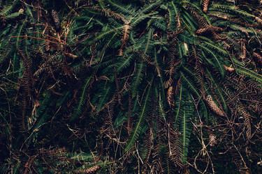 Similar image 12999447