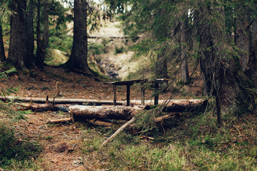 Similar image 12999331