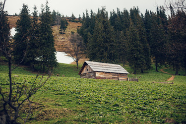 Similar image 12999449