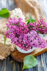 Similar image 12998984