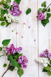 Similar image 12999063