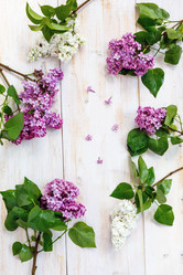 Similar image 12999136