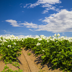 Similar image 12999381