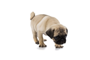 Similar image 12999223