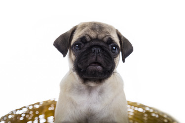 Similar image 12999302