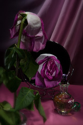 Similar image 13000465