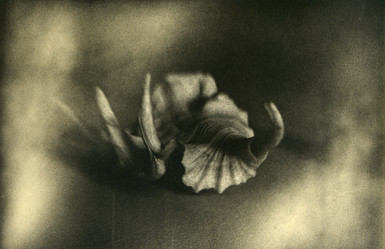 Similar image 13000933