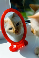 Similar image 13000937